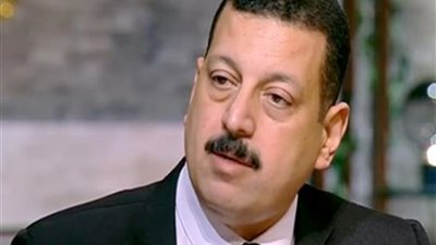 أيمن حمزة: السيسي يؤمن بأن قطاعي الطاقة والكهرباء أمن قومي لمصر (فيديو)