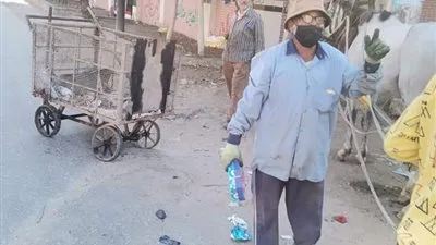 تفاصيل حملة نظافة مكبرة في شوارع الجمالية بالدقهلية 