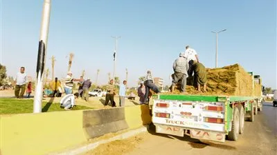 تفاصيل حملة نظافة مكبرة بمراكز الدقهلية (صور) 