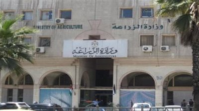 الزراعة: واجهنا موجة التضخم العالمية بزيادة المعروض من السلع (فيديو)