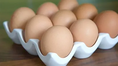 بالفيديو.. التموين: انخفاض أسعار البيض خلال أيام 