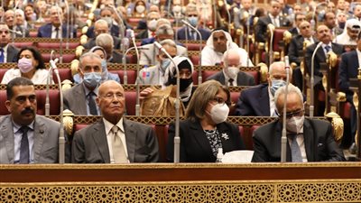 حسانين توفيق: الثروات الطبيعية بالدول النامية تعرضت للنهب لغياب التكنولوجيا