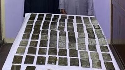 ضبط 3 عناصر إجرامية بمحافظتي الإسكندرية والإسماعيلية بحوزتهم 165 طربة حشيش