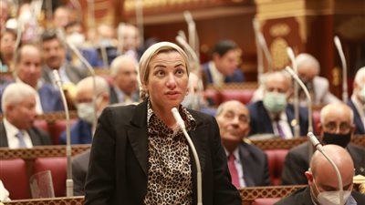 وزيرة البيئة: الوزارة على دراية بالتقنيات الملمة بقانون تنظيم النفاذ