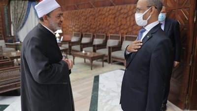 الإمام الأكبر: حريصون على تعزيز التعاون العلمي مع موريتانيا