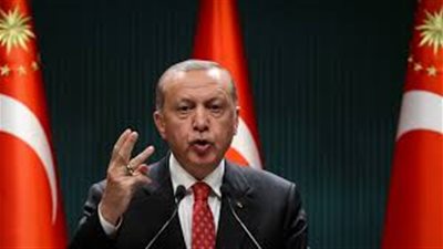 لماذا اختلف الخبراء حول تصريحات أردوغان؟