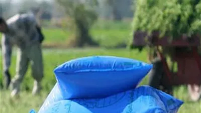 عميد معهد الاقتصاد الزراعي عن ارتفاع أسعار الأسمدة: أزمة مفتعلة (فيديو)