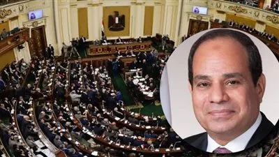 مصر لن تفرط في نقطة مياه.. برلمانيون يثمنون خطاب السيسي في أسبوع القاهرة للمياه 2021