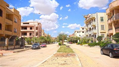 رئيس جهاز تنمية العبور: نعمل على تطعيم الكلاب الضالة وتعقيمها