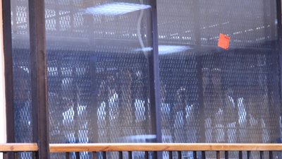 20 نوفمبر.. المرافعة في محاكمة 12 متهماً بخلية داعش العجوزة