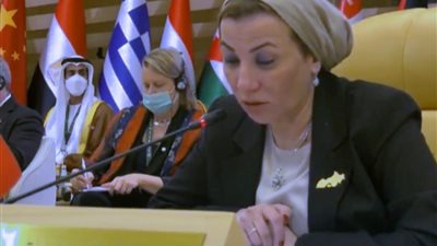 ياسمين فؤاد: النمو الأخضر الحل الوحيد لاستدامة الحياة على الأرض