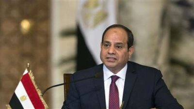 برلمانية: قرار إلغاء مد حالة الطوارئ تاريخي يؤكد على استقرار البلاد