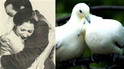 الطالع الفلكى الثّلاثَاء 26/10/2021..مَوَدَّة وَرَحْمَة!