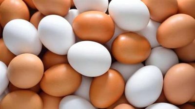 شعبة الدواجن: هذا السبب الحقيقي وراء ارتفاع أسعار البيض (فيديو)