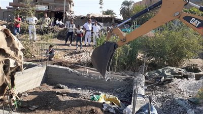 الزراعة: 90 ألف فدان خسائر الدولة نتيجة التعدي على أراضيها (فيديو) 