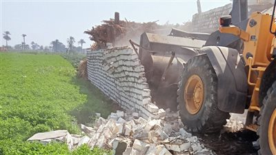 إزالة 575 حالة تعد على أملاك الدولة وأراضي زراعية ببني سويف