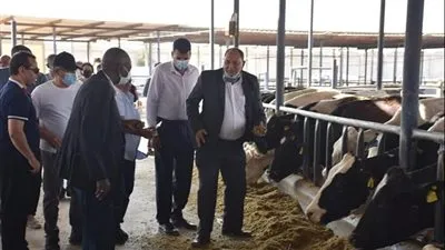 وفد المجلس التنفيذى للايفاد يتفقد المشروعات المشتركة بين مصر والمنظمة الدولية