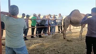 رئيس بحوث الصحراء: التوسع في مشروعات حصاد الأمطار