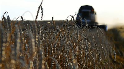 تفاصيل إنشاء أول صومعة للأقماح بميناء بورسعيد 