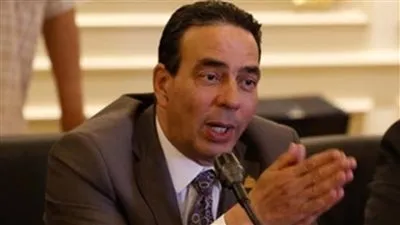 وكيل حقوق النواب: السيسي غير مفهوم حقوق الإنسان أمام العالم