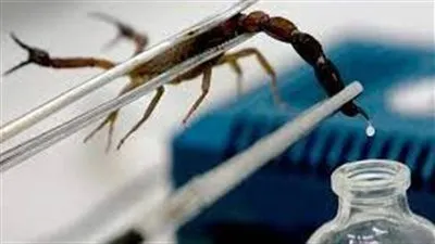 أول تعليق لـ 