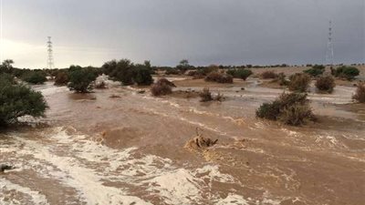 كيف تعاملت الدولة مع خطر السيول بعد 2015؟.. وزير الري يُجيب 