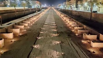 برلمانية: الترويج لاحتفالية طريق الكباش يعكس ثراء محافظة الأقصر كمقصد سياحي عالمي