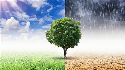 اتحاد البيئة العرب: مشاركة الرئيس السيسي بقمة كوب 26 مهمة لهذا السبب (فيديو)