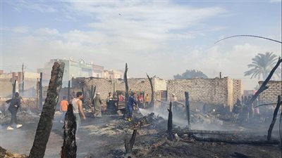 نيران مجهولة.. نفوق 27 رأس ماشية بحريق 5 منازل ببني سويف (فيديو وصور)