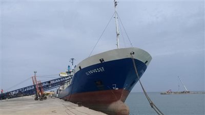 شحن 3 آلاف طن صودا ك أو ية وتداول 25 سفينة بموانئ بورسعيد