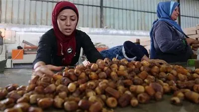 خبير عالمي يكشف أسباب ارتفاع أسعار البلح (فيديو)