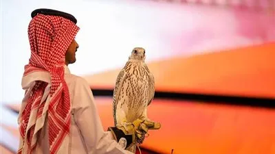 بيع صقرين في الليلة الـ23 لمزاد نادي الصقور السعودي الثاني