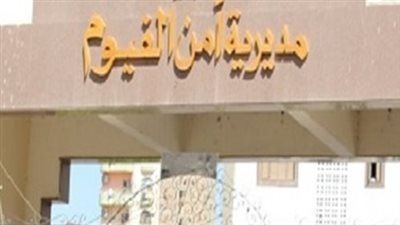 القبض على عاطلين استولوا على سيارة صاحب مكتب عقارات في الفيوم