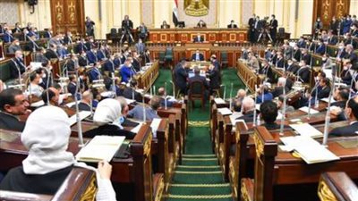 الزراعة: الكارت الذكي تم تفعليه بجدية.. وجار استكمال كل المتبقي