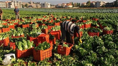 خبراء يُحذرون من تأثير تغير المناخ على تغيير مواعيد الزراعة واختفاء بعض السلالات 