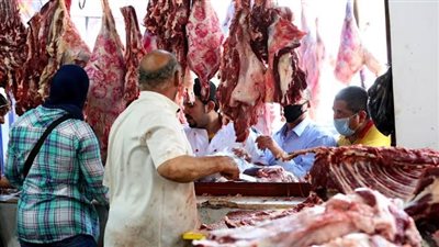 بكام كيلو الكندوز ؟.. أسعار اللحوم اليوم الأربعاء 22-11-2023 في الأسواق ومنافذ الزراعة