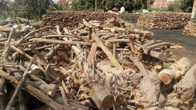 ضبط 268 سيارة و28 مكمورة فحم لمخالفة الاشتراطات البيئية بالشرقية