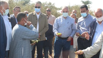 وزير الري يتابع موقف تنفيذ مشروعات الموارد المائية بمحافظة الفيوم 