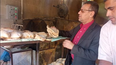 إحالة 82 محضرا بالمخالفات في مجال المخابز والأسواق للنيابة العامة بالدقهلية 