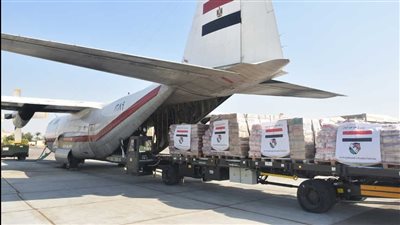 مصر ترسل مساعدات غذائية للأشقاء فى جنوب السودان (فيديو)