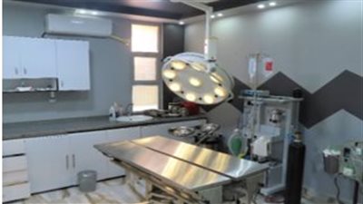 حملة على أماكن تصنيع وبيع الأدوية البيطرية ومحال اللحوم بالقاهرة والقليوبية