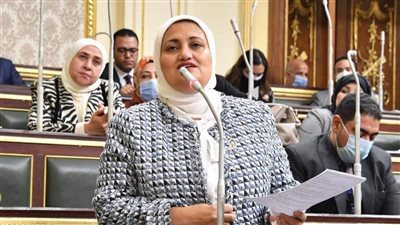 برلمانية تطالب بوقف المزاد على 28 فدانا بأسيوط.. وتحويلهم للمنفعة العامة