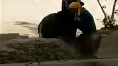 120 ثانية ترصد تعاطي 3 فتيات الهيروين في وضح النهار.. وتحرك سريع لأمن الجيزة