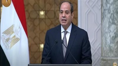 السيسي يؤكد دعم مصر للخطط التنموية التنزانية