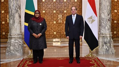 متحدث الرئاسة يكشف تفاصيل مباحثات الرئيس السيسي ورئيسة تنزانيا