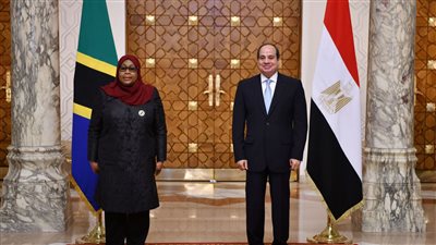 محمد العرابي: مصر وتنزانيا نموذج متكامل للعلاقات الرشيدة في إفريقيا (فيديو)