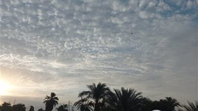 طوارئ في محافظة الأقصر تخوفًا من التغيرات المناخية 