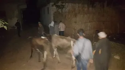 لسرقته.. لصوص يقتلون تاجر مواشى بقرية ترسا بالفيوم 