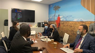 فؤاد: هناك اتجاه نحو تنفيذ مشروعات عملاقة في مجال التخفيف والتكيف