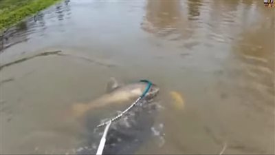 مصرع طفل صعقٱ بالكهرباء بقرية جردو بالفيوم